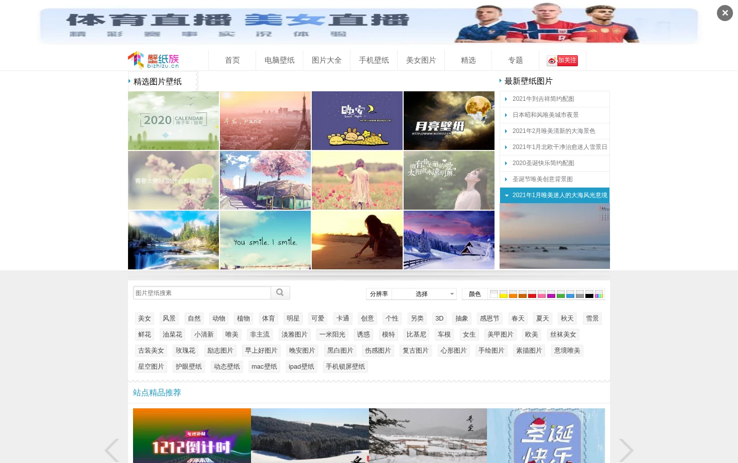 壁纸族 页面快照